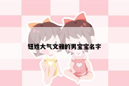 钮姓大气文雅的男宝宝名字